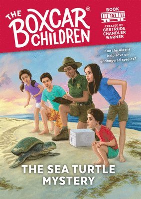 bokomslag Sea Turtle Mystery