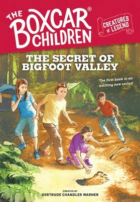bokomslag Secret of Bigfoot Valley