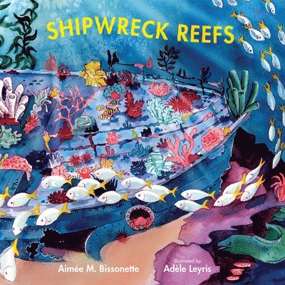 Shipwreck Reefs 1