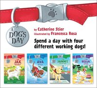 bokomslag A Dog's Day Set #1-4
