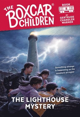 bokomslag Lighthouse Mystery