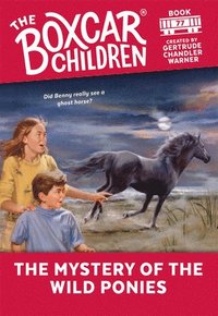 bokomslag The Mystery of the Wild Ponies