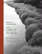 Between Land and Sea: The Great Marsh
