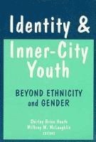 bokomslag Identity and Inner-city Youth