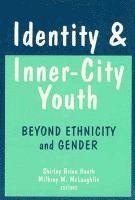 Shirley Brice Heath, Milbrey Wallin McLaughlin, Milbrey W. McLaughlin, Milbrey W McLaughlin - Identity and Inner-city Youth, Häftad
