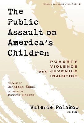 bokomslag The Public Assault on America's Children