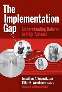 bokomslag The Implementation Gap