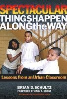 Brian D. Schultz, Brian D Schultz, William Ayers, Therese Quinn - Spectacular Things Happen Along the Way, Inbunden