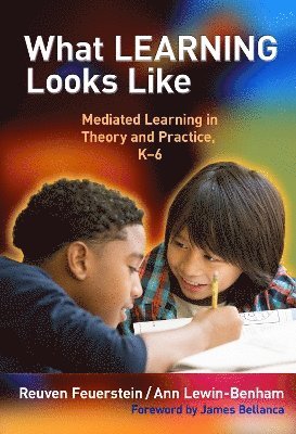 Reuven Feuerstein, Ann Lewin-Benham - What Learning Looks Like, Häftad