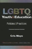 bokomslag LGBTQ Youth & Education