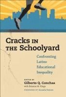 bokomslag Cracks in the Schoolyard
