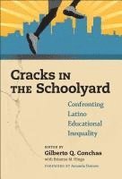 bokomslag Cracks in the SchoolyardConfronting Latino Educational Inequality