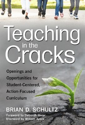 Brian D. Schultz, Brian D Schultz - Teaching in the Cracks, Häftad