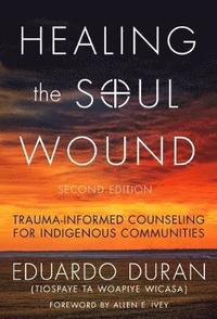 bokomslag Healing the Soul Wound