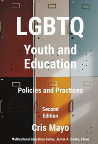 bokomslag LGBTQ Youth and Education