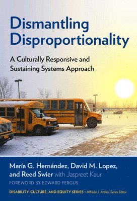 Maria G. Hernandez, David M. Lopez, Reed Swier, María G. Hernández, María G Hernández, David M Lopez - Dismantling Disproportionality, Häftad