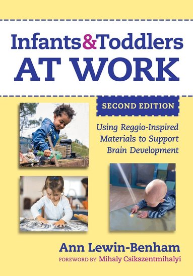 Ann Lewin-Benham, Nancy File - Infants and Toddlers at Work, Häftad