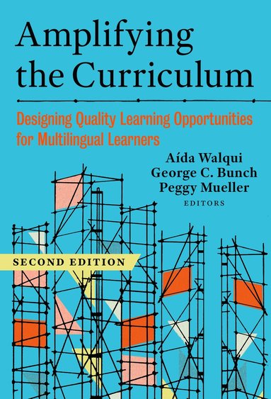 bokomslag Amplifying the Curriculum