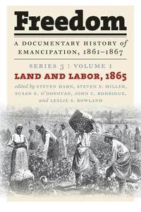 bokomslag Freedom: a Documentary History of Emancipation, 1861-1867
