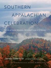 bokomslag Southern Appalachian Celebration
