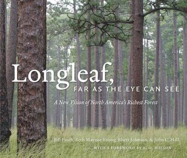 bokomslag Longleaf, Far as the Eye Can See: A New Vision of North America's Richest Forest