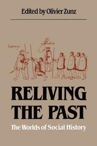 bokomslag Reliving the Past: The Worlds of Social History