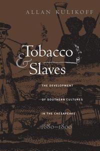 bokomslag Tobacco and Slaves: The Development of Southern Cultures in the Chesapeake, 1680-1800