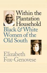 bokomslag Within the Plantation Household: Black and White Women of the Old South