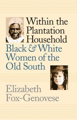 bokomslag Within the Plantation Household: Black and White Women of the Old South