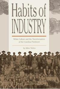 bokomslag Habits of Industry: White Culture and the Transformation of the Carolina Piedmont