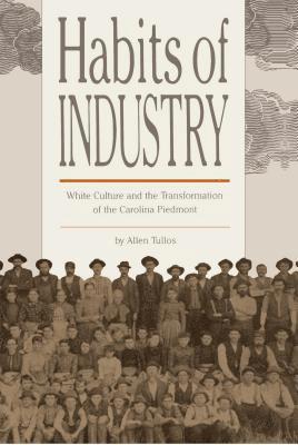 bokomslag Habits of Industry: White Culture and the Transformation of the Carolina Piedmont