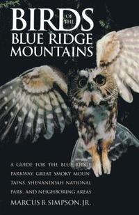 bokomslag Birds of the Blue Ridge Mountains