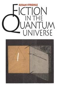 bokomslag Fiction in the Quantum Universe