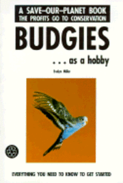 North Carolina's Hurricane History