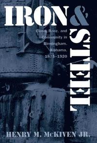 bokomslag Iron and Steel: Class, Race, and Community in Birmingham, Alabama, 1875-1920