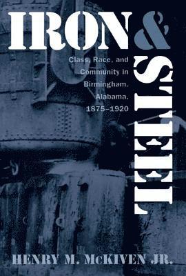 bokomslag Iron and Steel: Class, Race, and Community in Birmingham, Alabama, 1875-1920