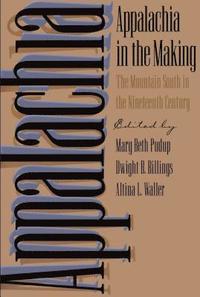 bokomslag Appalachia in the Making: The Mountain South in the Nineteenth Century