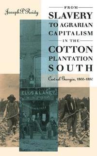 bokomslag From Slavery to Agrarian Capitalism in the Cotton Plantation South: Central Georgia, 1800-1880