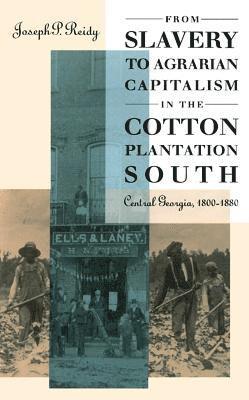 From Slavery to Agrarian Capitalism in the Cotton Plantation South 1