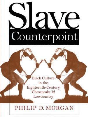 bokomslag Slave Counterpoint: Black Culture in the Eighteenth-Century Chesapeake and Lowcountry