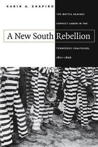 bokomslag A New South Rebellion