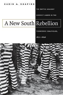 A New South Rebellion 1