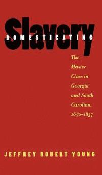 bokomslag Domesticating Slavery: The Master Class in Georgia and South Carolina, 1670-1837