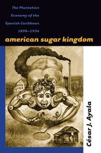 bokomslag American Sugar Kingdom