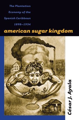 bokomslag American Sugar Kingdom