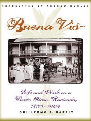 bokomslag Buena Vista: Life and Work on a Puerto Rican Hacienda, 1833-1904