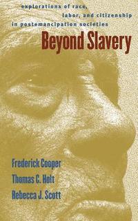 bokomslag Beyond Slavery