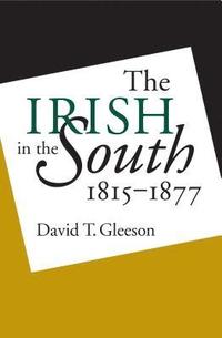 bokomslag The Irish in the South, 1815-1877