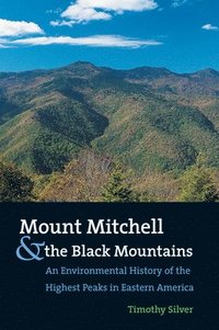 bokomslag Mount Mitchell and the Black Mountains: An Environmental History of the Highest Peaks in Eastern America