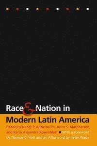 bokomslag Race and Nation in Modern Latin America